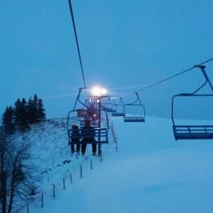 Meet your Posher, Gavin